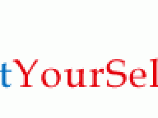 SellItYourselfUSA.com Logo